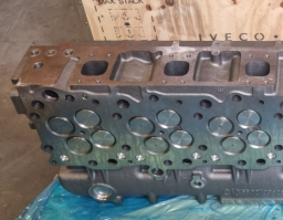 5802530163 Cylinder head assy FPT
