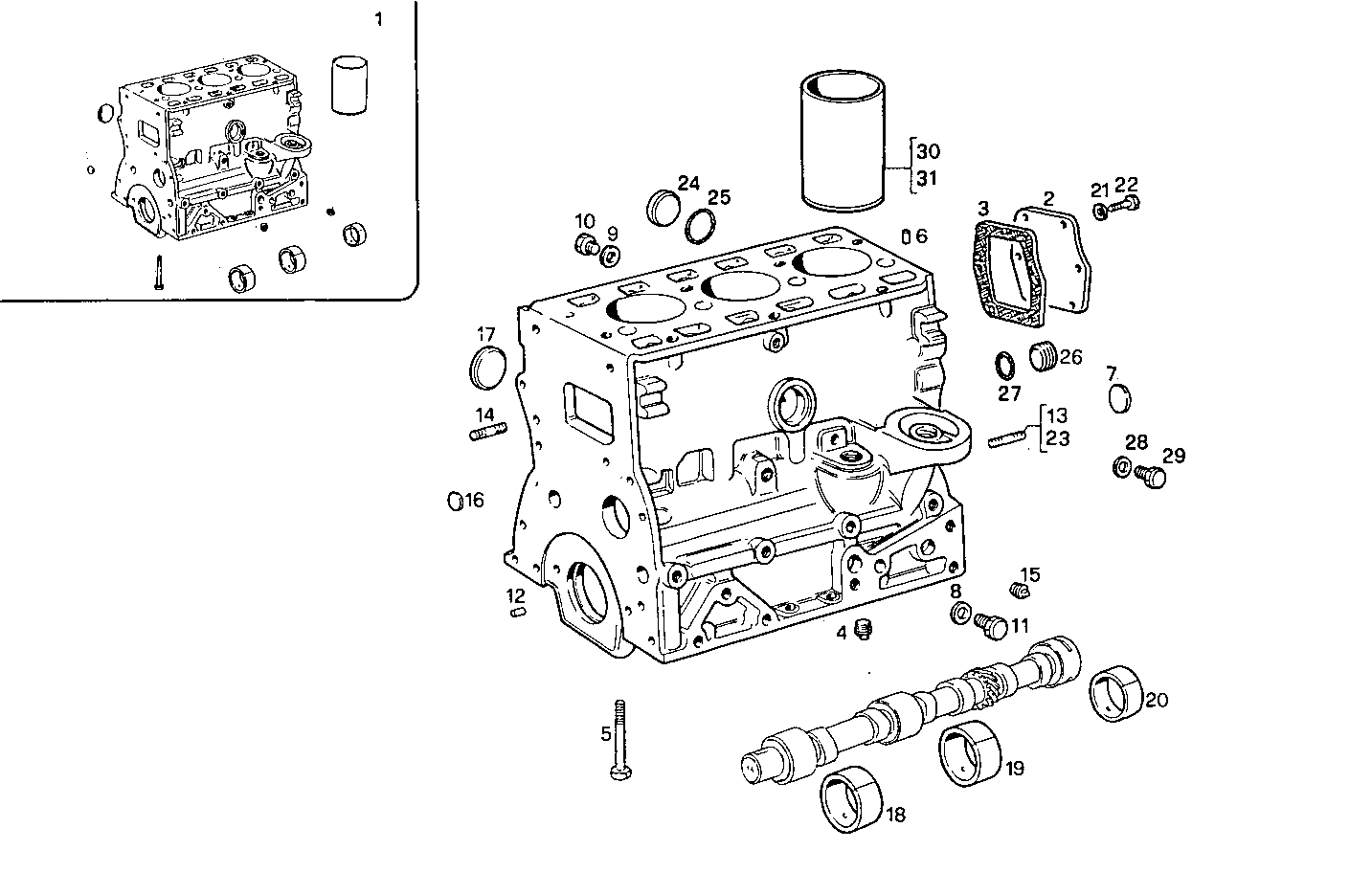 Iveco/FPT CRANKCASE