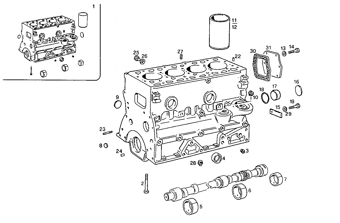 Iveco/FPT CRANKCASE