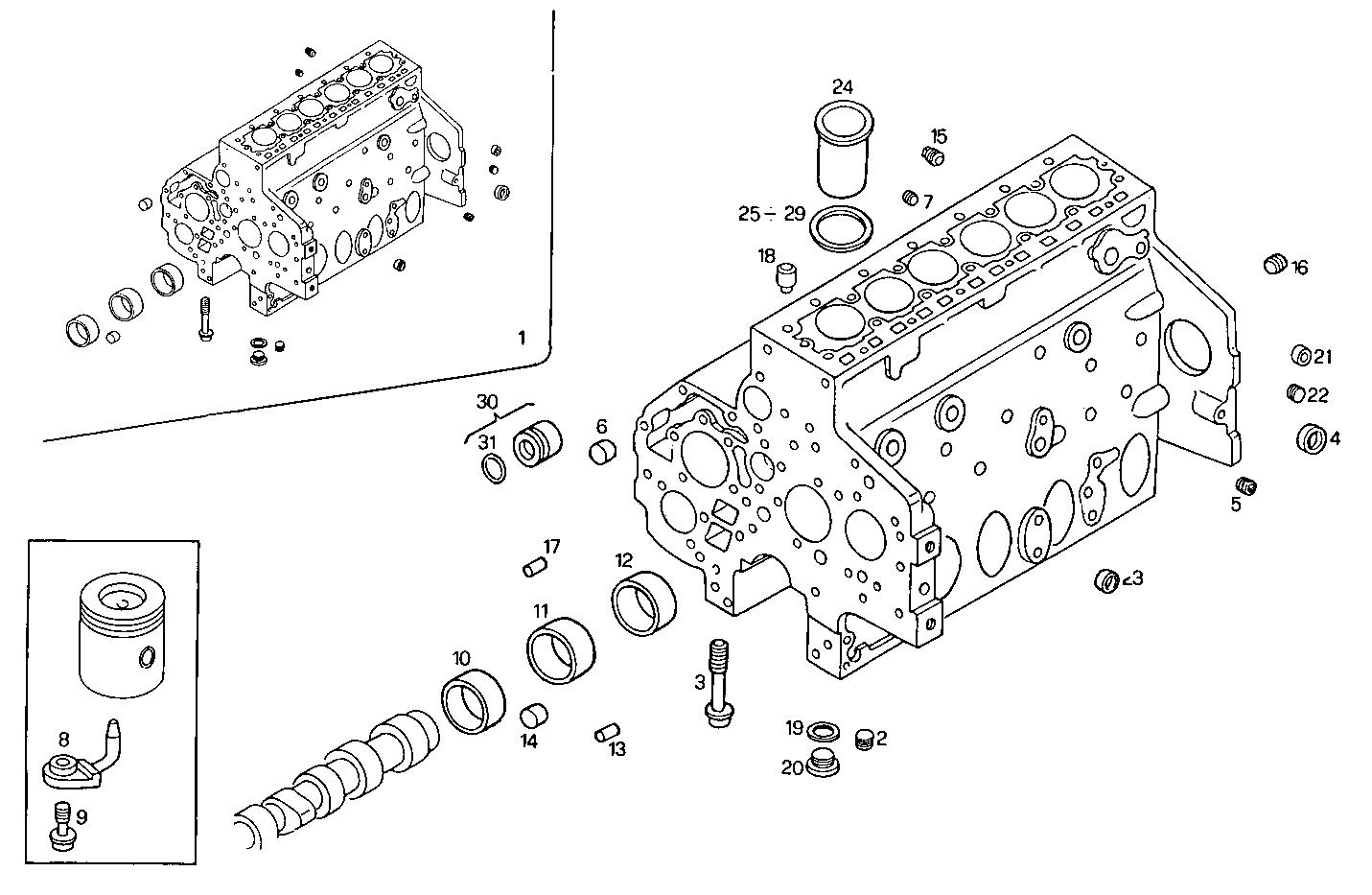 Iveco/FPT CRANKCASE