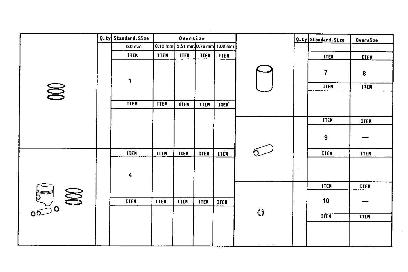 Iveco/FPT PISTON ASSY - PISTON RINGS - PISTON PIN