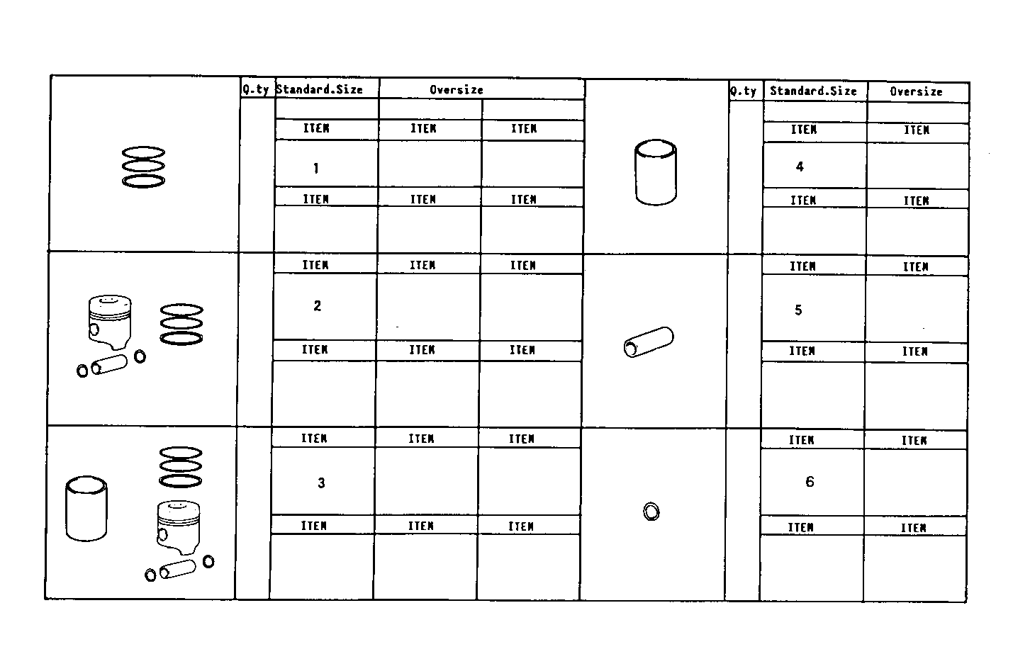 Iveco/FPT PISTON ASSY - PISTON RINGS - PISTON PIN