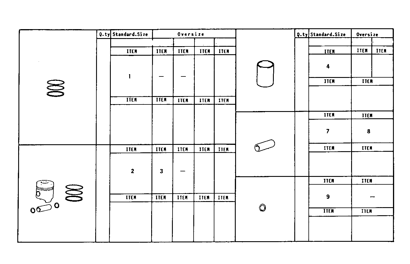 Iveco/FPT PISTON ASSY - PISTON RINGS - PISTON PIN