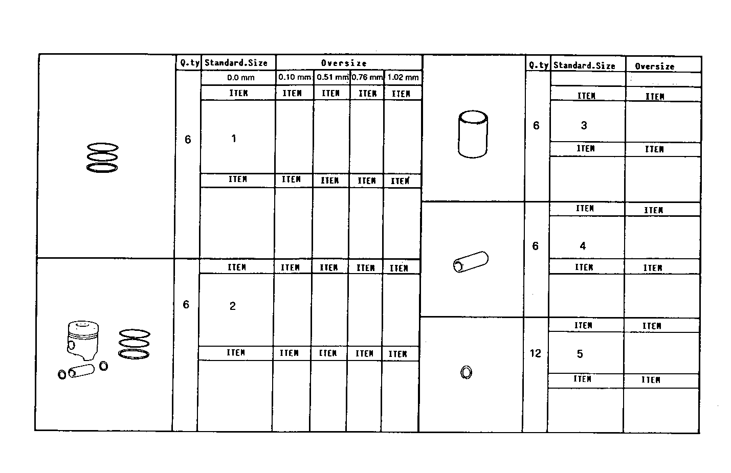 Iveco/FPT PISTON ASSY - PISTON RINGS - PISTON PIN