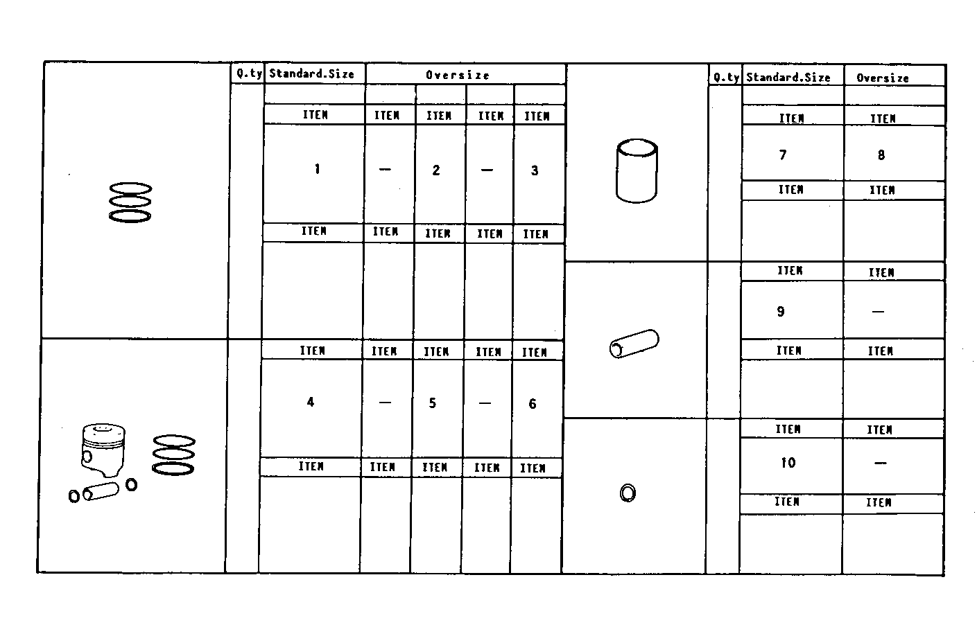 Iveco/FPT PISTON ASSY - PISTON RINGS - PISTON PIN