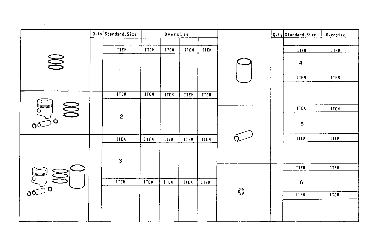 Iveco/FPT PISTON ASSY - PISTON RINGS - PISTON PIN