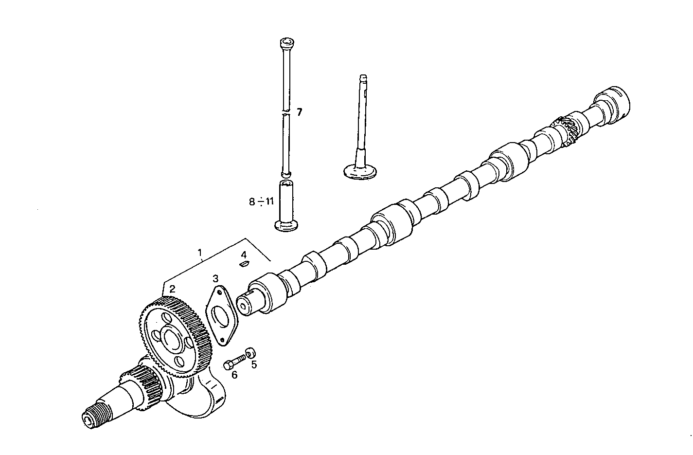 Iveco/FPT TIMING PARTS