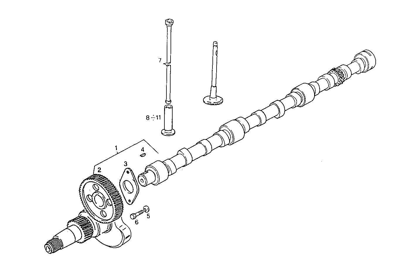 Iveco/FPT TIMING PARTS