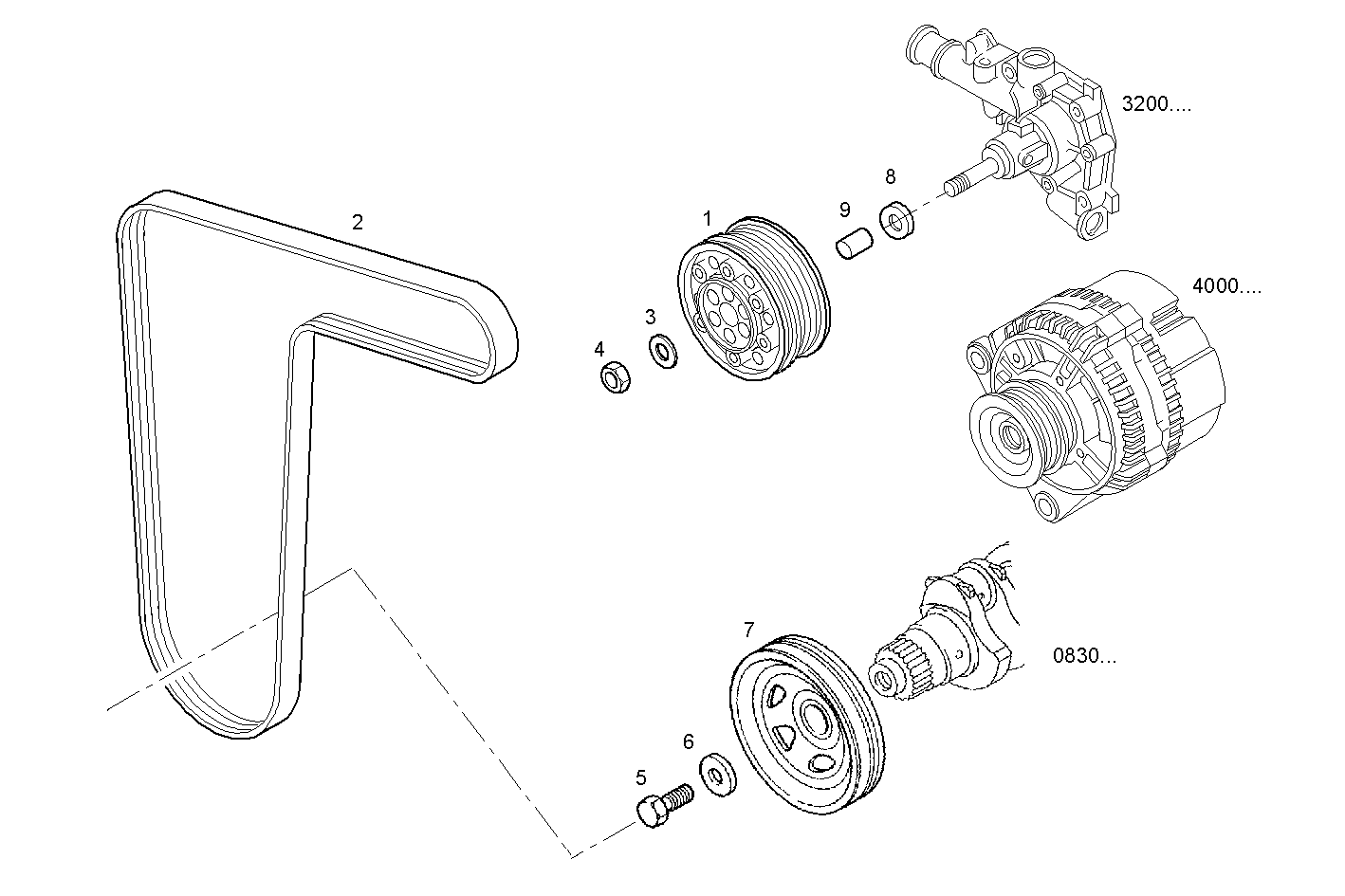 Iveco/FPT PULLEYS AND BELTS