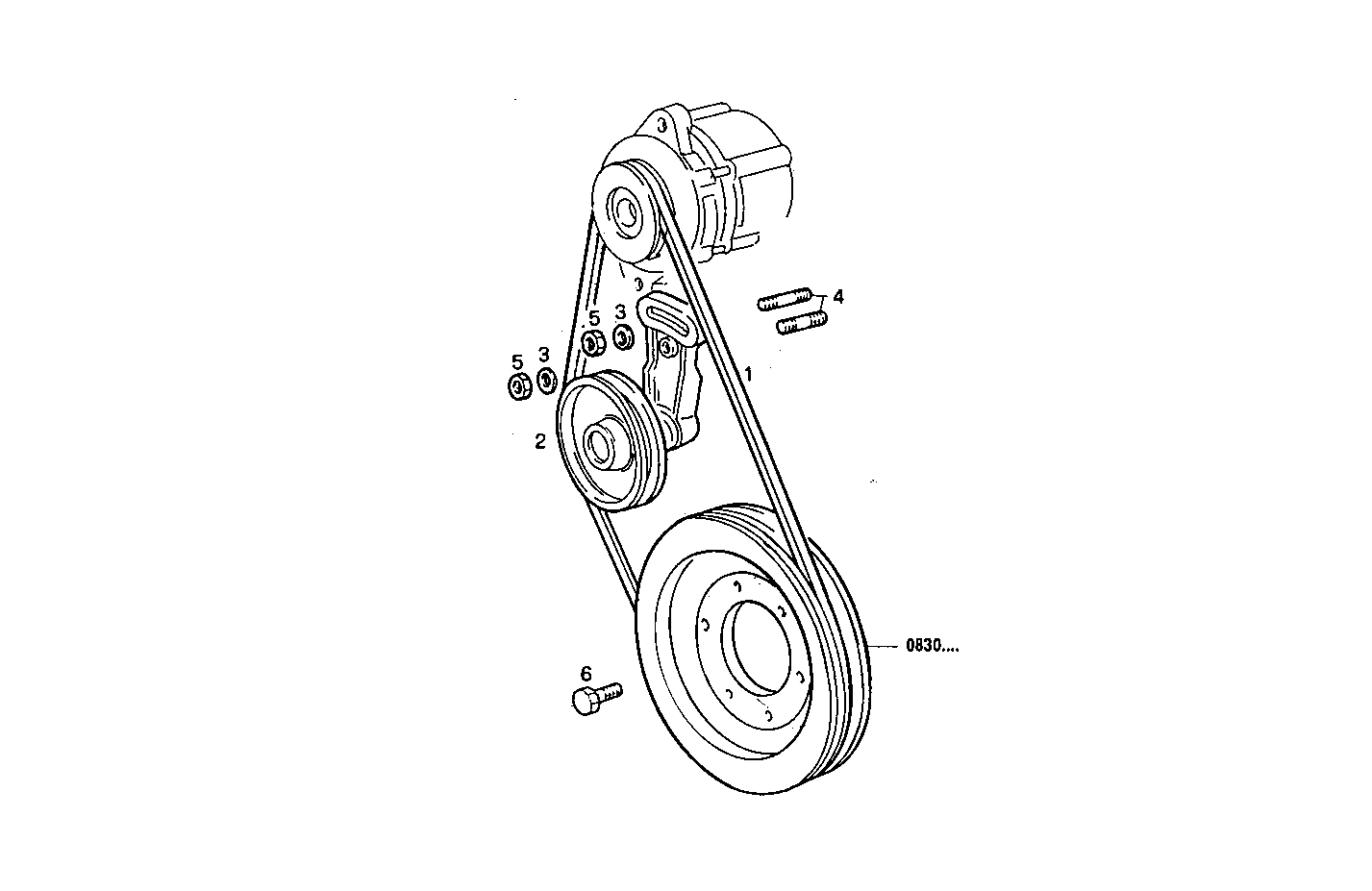 Iveco/FPT PULLEYS AND BELTS