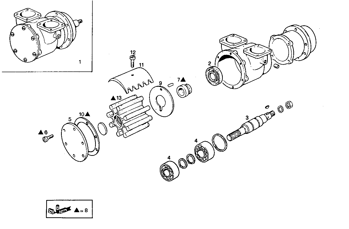 Iveco/FPT SEA WATER PUMP