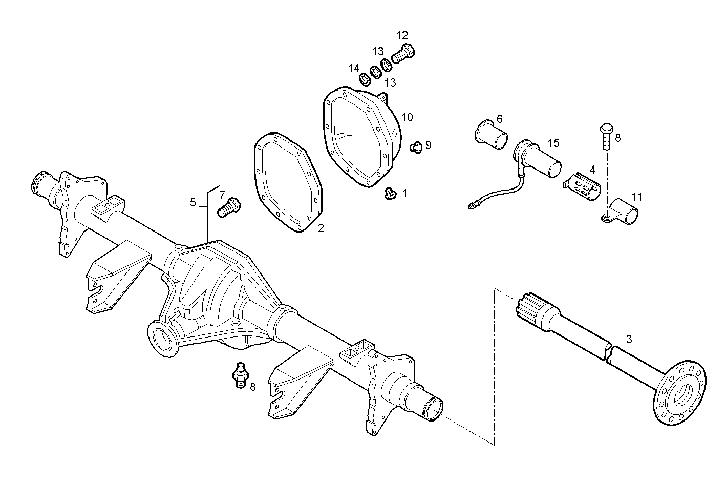 Iveco/FPT REAR AXLE