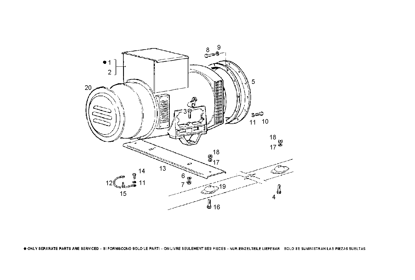 Iveco/FPT DOUBLE BEARING ELECTRIC MACHINE