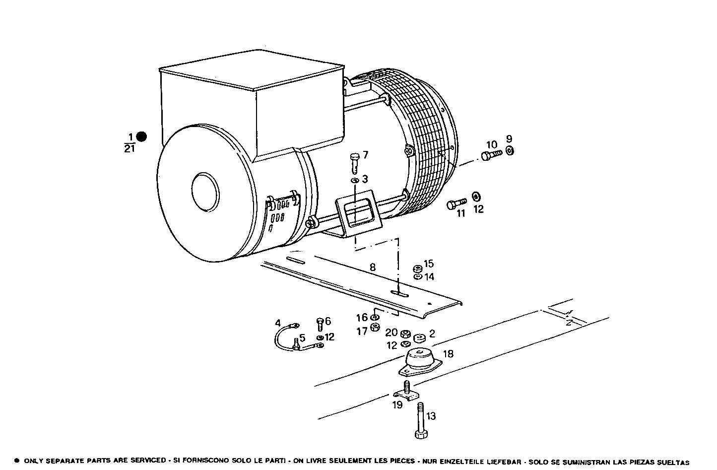 Iveco/FPT SINGLE BEARING ELECTRIC MACHINE