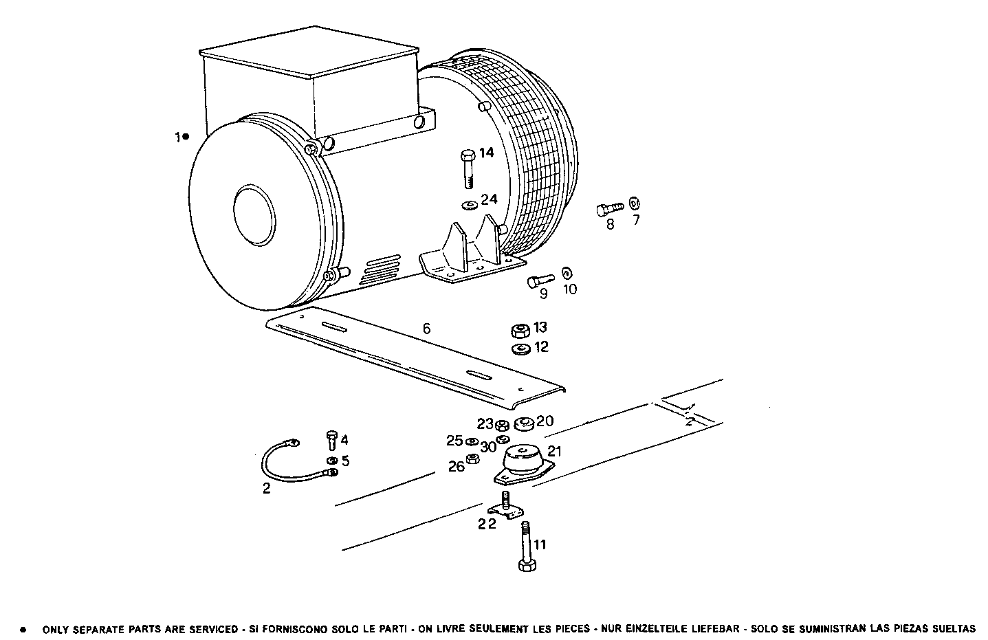 Iveco/FPT SINGLE BEARING ELECTRIC MACHINE