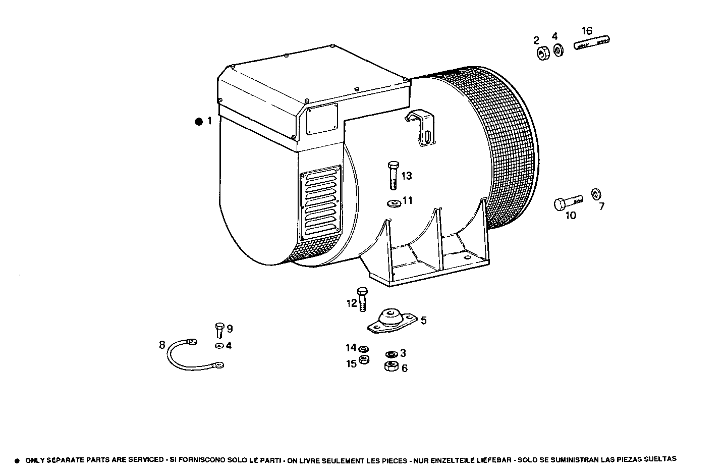 Iveco/FPT SINGLE BEARING ELECTRIC MACHINE