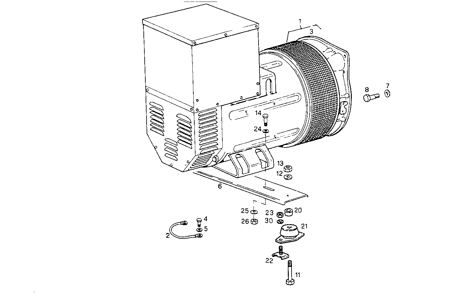 Iveco/FPT SINGLE BEARING ELECTRIC MACHINE