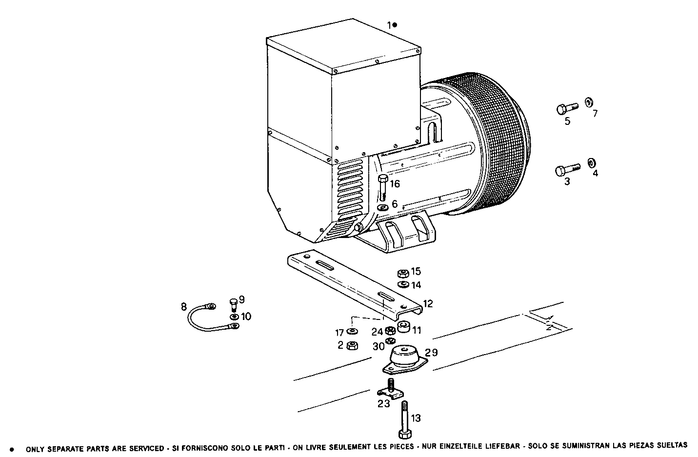 Iveco/FPT SINGLE BEARING ELECTRIC MACHINE