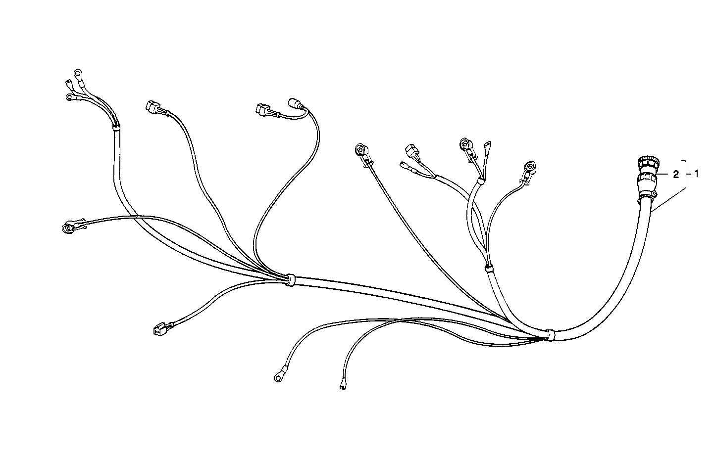 Iveco/FPT ELECTRIC WIRING