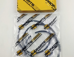 02231470 Deutz Piston Ring Set