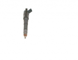 500061256 Injector