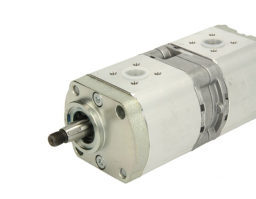 0 510 665 381 Gear type hydraulic pump