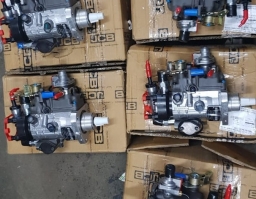 320/06924 Injection pump