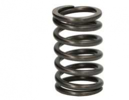 83999742	Valve Spring