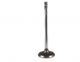 Exhaust Valve (4899632)