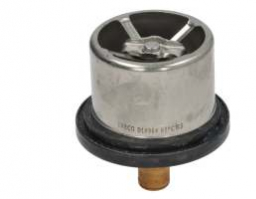 Thermostat, Coolant (504096443)