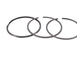 Piston Ring Set (1931019)
