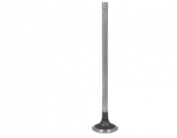 Intake Valve (5801551446)