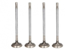 504378070	Exhaust Valve