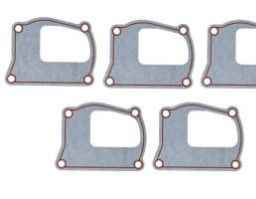 98400776	Water Pump Gasket