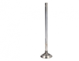 504368419	Exhaust Valve