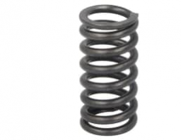 504110997	Valve Spring