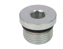 4895080	Screw Plug, Oil Sump