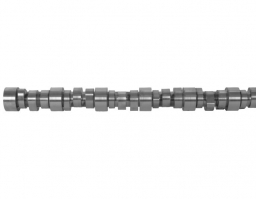 504221497	Camshaft