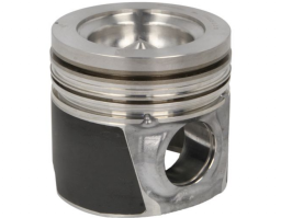 504128309	Piston