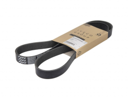 5802362639	Multi-V-Belt