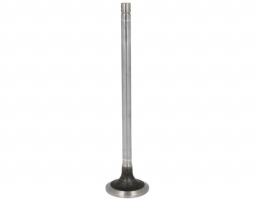 500355778	Intake Valve