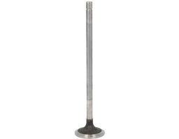 500354685	Intake Valve