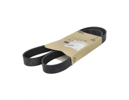 8034267	V-Ribbed Belt