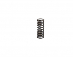 504125776	Valve Spring