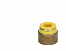 4895072	Valve Stem Seal