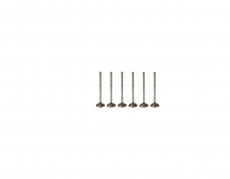 4895051 Exhaust Valve
