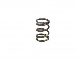 5801693149 Valve Spring