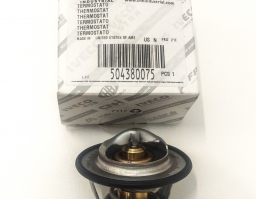 504380075 Thermostat