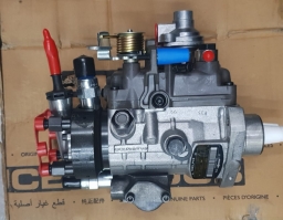 320/06924 Injection pump